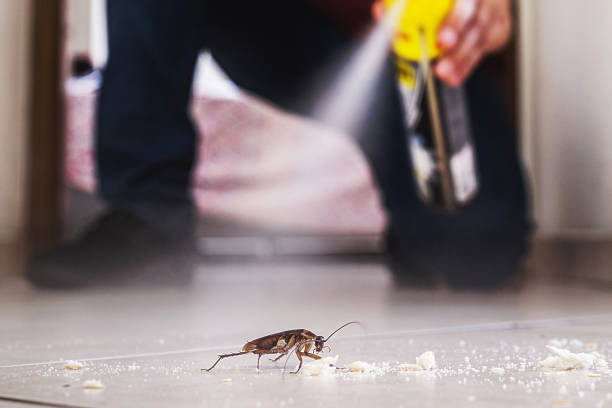 Pest Prevention Services in Bremerton, WA